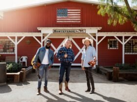 Why Perth Chooses Western Sheds: Quality You Can Trust